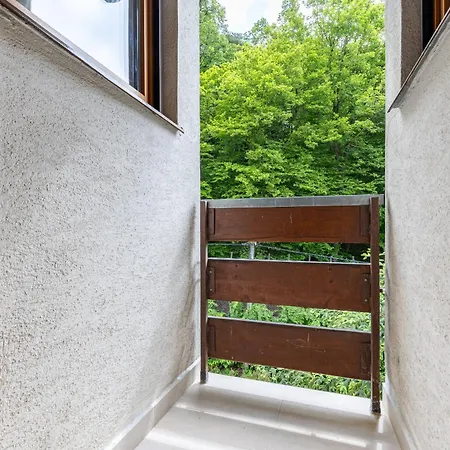 Grand Forest Escape *